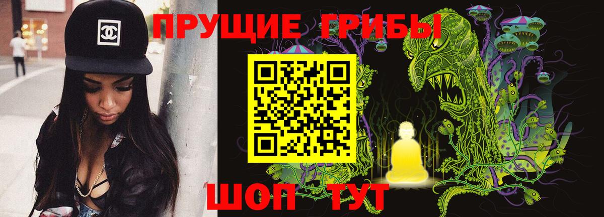 Галлюциногенные грибы прущие грибы Дмитров